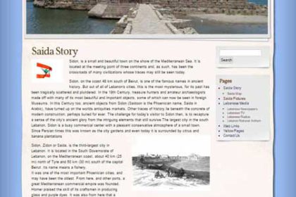 Saida-Online - web one design
